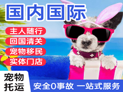 南宁航空邮寄国际宠物托运 【国